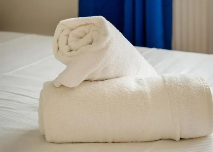 Eric Joli Renove Avec Double Balcons Appartement