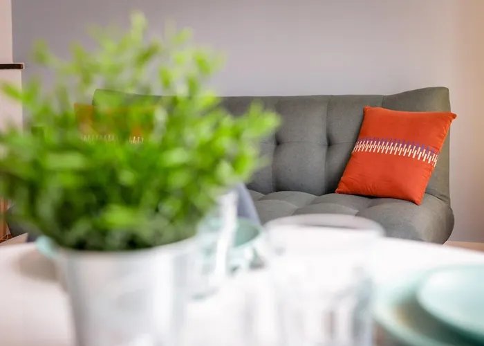 Eric Joli Renove Avec Double Balcons Appartement